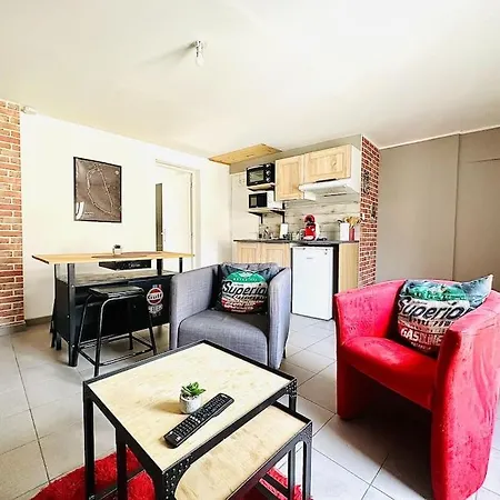 Aux Pieds Du Vieux-mans : Confort Et Lumineux - 2p Apartment